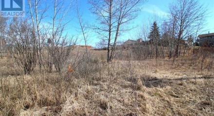 Residential - Vacant Land - Blackfalds, Canada - Canada