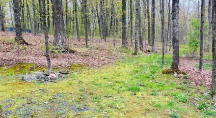 Residential - Land - Dunham, Canada - Canada