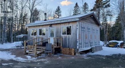 Residential - Single Family Home - Havelock, Canada - Canada