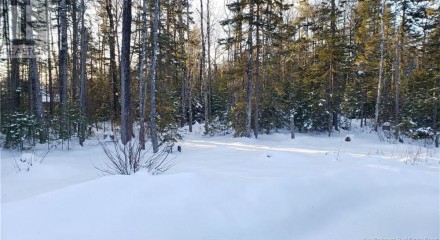 Residential - Single Family Home - Havelock, Canada - Canada