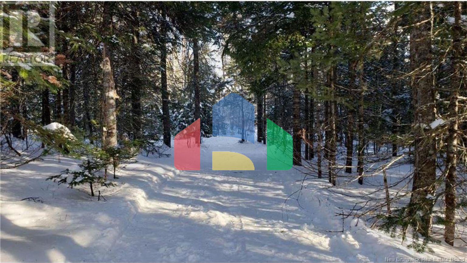 Residential - Single Family Home - Havelock, Canada - Canada