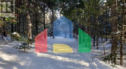 Residential - Single Family Home - Havelock, Canada - Canada