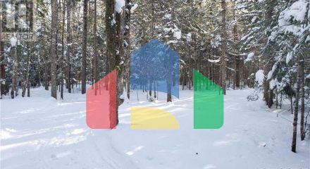 Residential - Single Family Home - Havelock, Canada - Canada