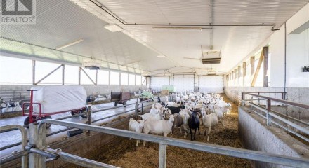 Commercial - Farm - Malahide, Canada - Canada