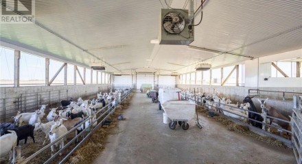 Commercial - Farm - Malahide, Canada - Canada