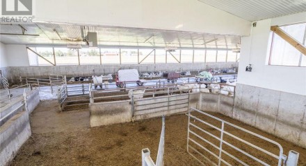 Commercial - Farm - Malahide, Canada - Canada
