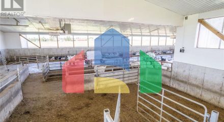 Commercial - Farm - Malahide, Canada - Canada