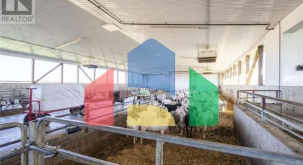 Commercial - Farm - Malahide, Canada - Canada