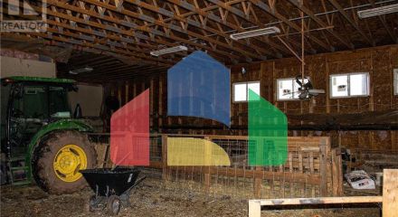 Commercial - Farm - Youngs Cove, Canada - Canada