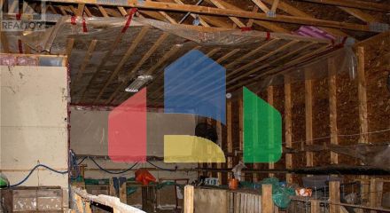 Commercial - Farm - Youngs Cove, Canada - Canada