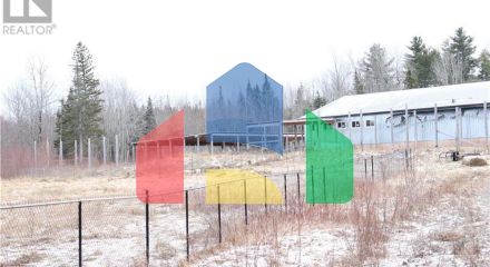 Commercial - Farm - Youngs Cove, Canada - Canada