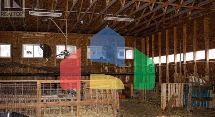 Commercial - Farm - Youngs Cove, Canada - Canada