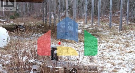 Commercial - Farm - Youngs Cove, Canada - Canada