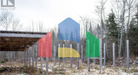 Commercial - Farm - Youngs Cove, Canada - Canada