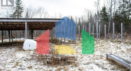 Commercial - Farm - Youngs Cove, Canada - Canada