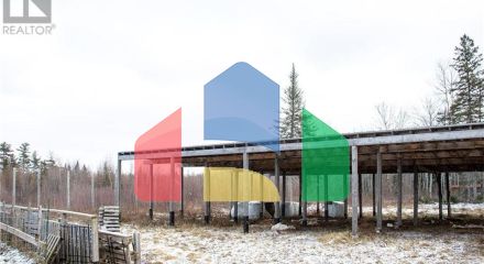 Commercial - Farm - Youngs Cove, Canada - Canada