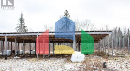 Commercial - Farm - Youngs Cove, Canada - Canada