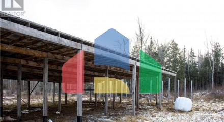 Commercial - Farm - Youngs Cove, Canada - Canada