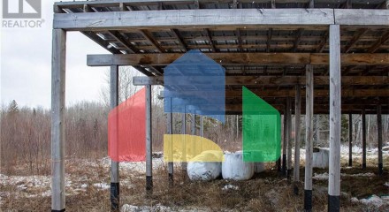 Commercial - Farm - Youngs Cove, Canada - Canada