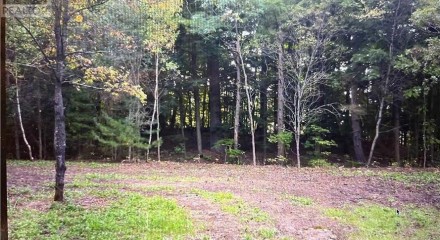 Residential - Vacant Land - Front of Yonge, Canada - Canada