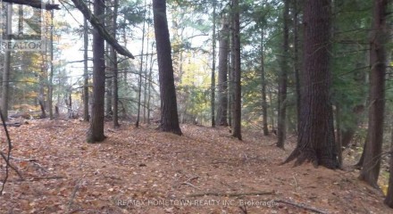 Residential - Vacant Land - Front of Yonge, Canada - Canada
