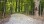 Residential - Vacant Land - Front of Yonge, Canada - Canada