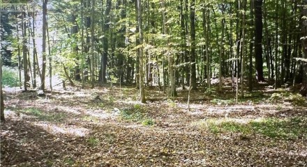 Residential - Vacant Land - Front of Yonge, Canada - Canada