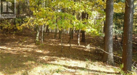 Residential - Vacant Land - Front of Yonge, Canada - Canada