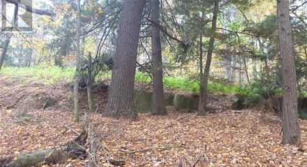 Residential - Vacant Land - Front of Yonge, Canada - Canada