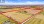 Commercial - Farm - Georgian Bluffs, Canada - Canada