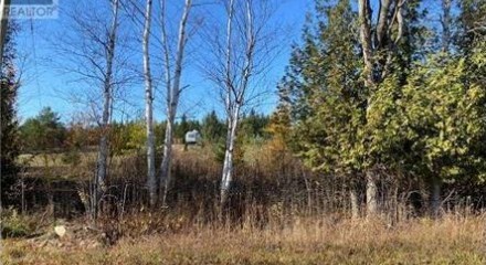 Residential - Vacant Land - Chatsworth, Canada - Canada