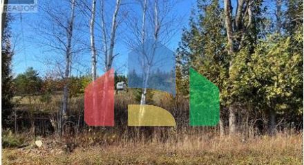 Residential - Vacant Land - Chatsworth, Canada - Canada