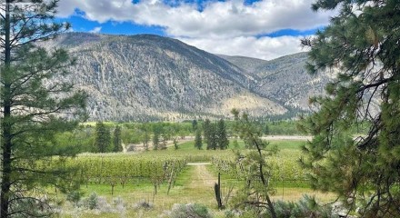 Residential - Single Family Home - Cawston, Canada - Canada