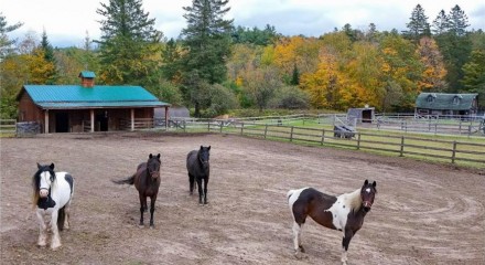 Residential - Farm - Canton Grenville, Canada - Canada