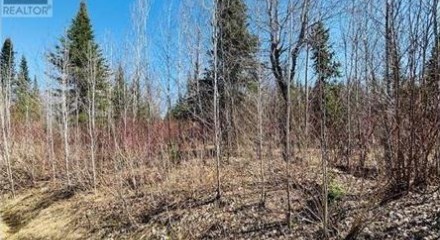 Residential - Vacant Land - Kenora, Canada - Canada