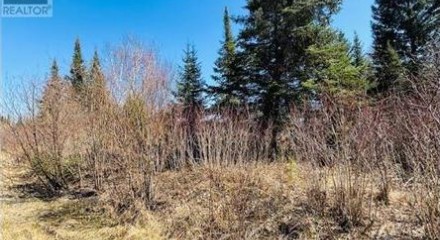 Residential - Vacant Land - Kenora, Canada - Canada