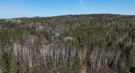 Commercial - Land - Saint-Joseph-de-la-Rive, Canada - Canada
