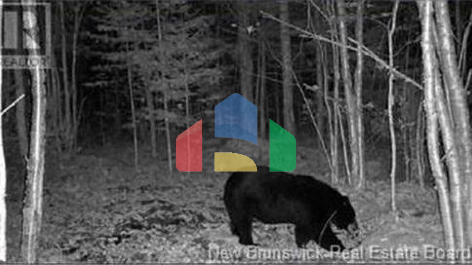 Residential - Single Family Home - Charlie Lake, Canada - Canada