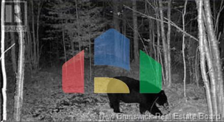 Residential - Single Family Home - Charlie Lake, Canada - Canada