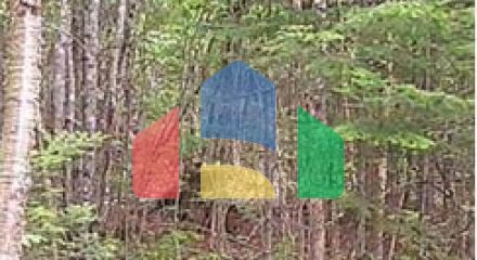 Residential - Single Family Home - Charlie Lake, Canada - Canada