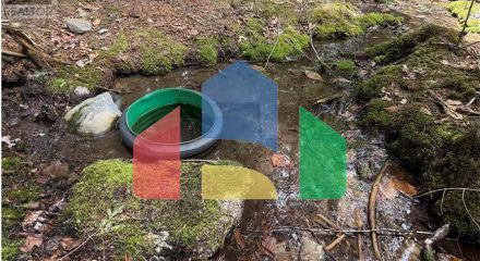 Residential - Single Family Home - Charlie Lake, Canada - Canada