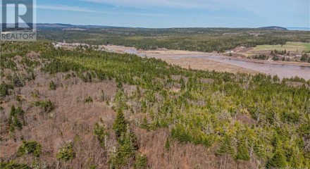 Residential - Vacant Land - Tynemouth Creek, Canada - Canada