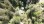 Residential - Vacant Land - Egmont, Canada - Canada