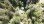 Residential - Vacant Land - Egmont, Canada - Canada
