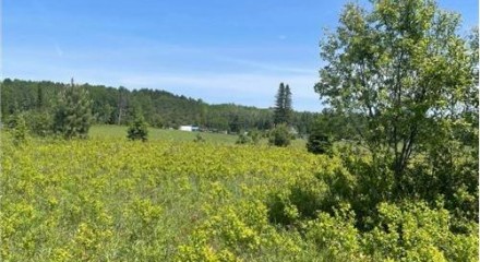 Residential - Land - Rivière-Rouge (Marchand), Canada - Canada