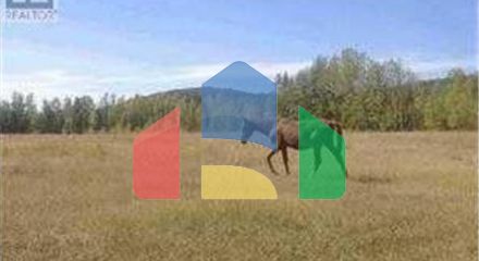 Residential - Vacant Land - Rural Clearwater County, Canada - Canada