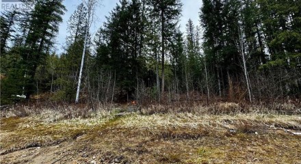Residential - Single Family Home - Sicamous, Canada - Canada