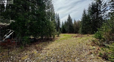 Residential - Single Family Home - Sicamous, Canada - Canada