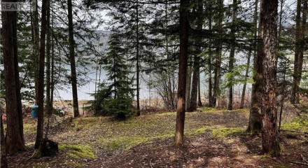 Residential - Single Family Home - Sicamous, Canada - Canada