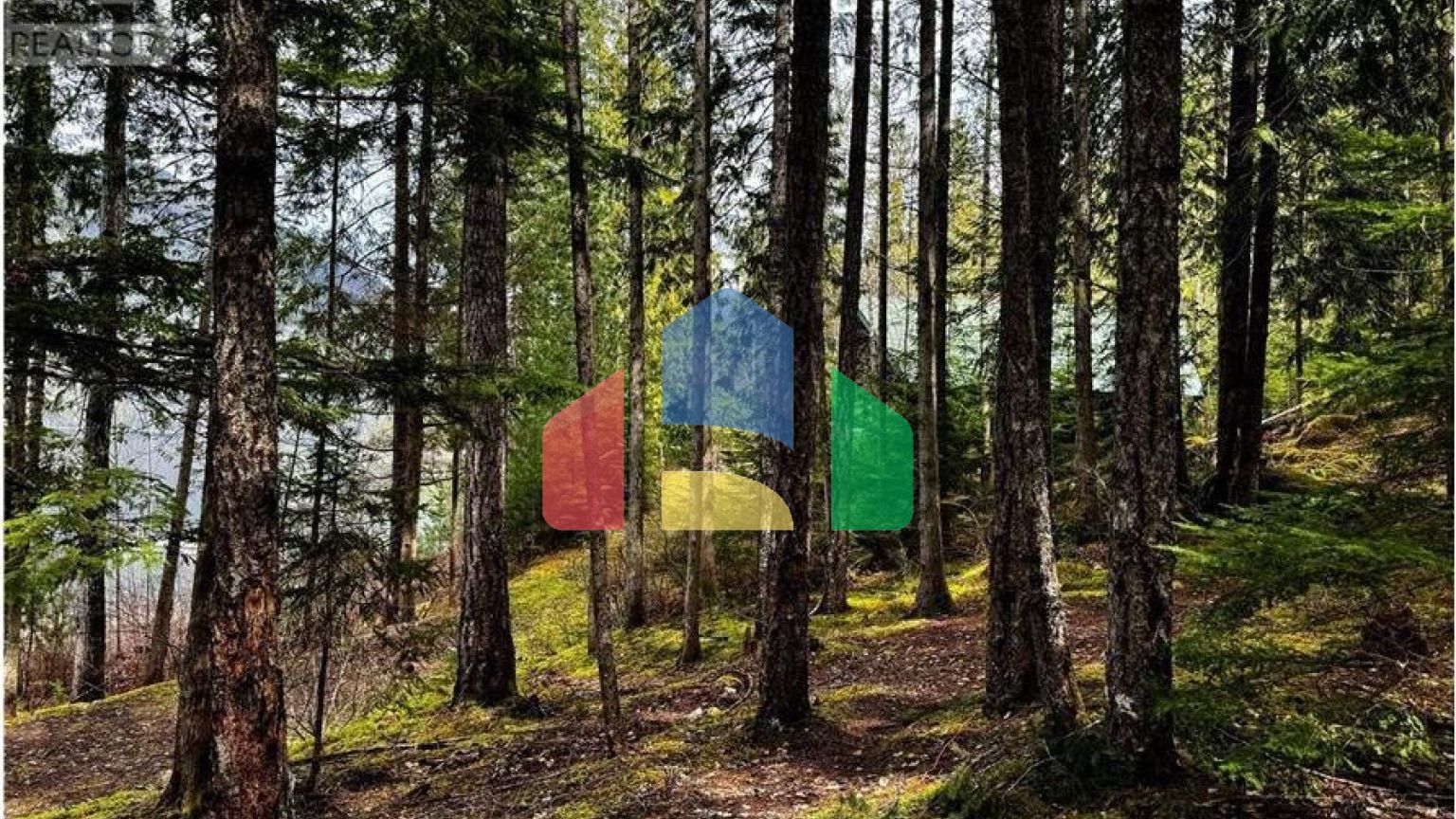 Residential - Single Family Home - Sicamous, Canada - Canada